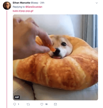 Screen Shot 2019-01-12 at 4.26.10 PM.png